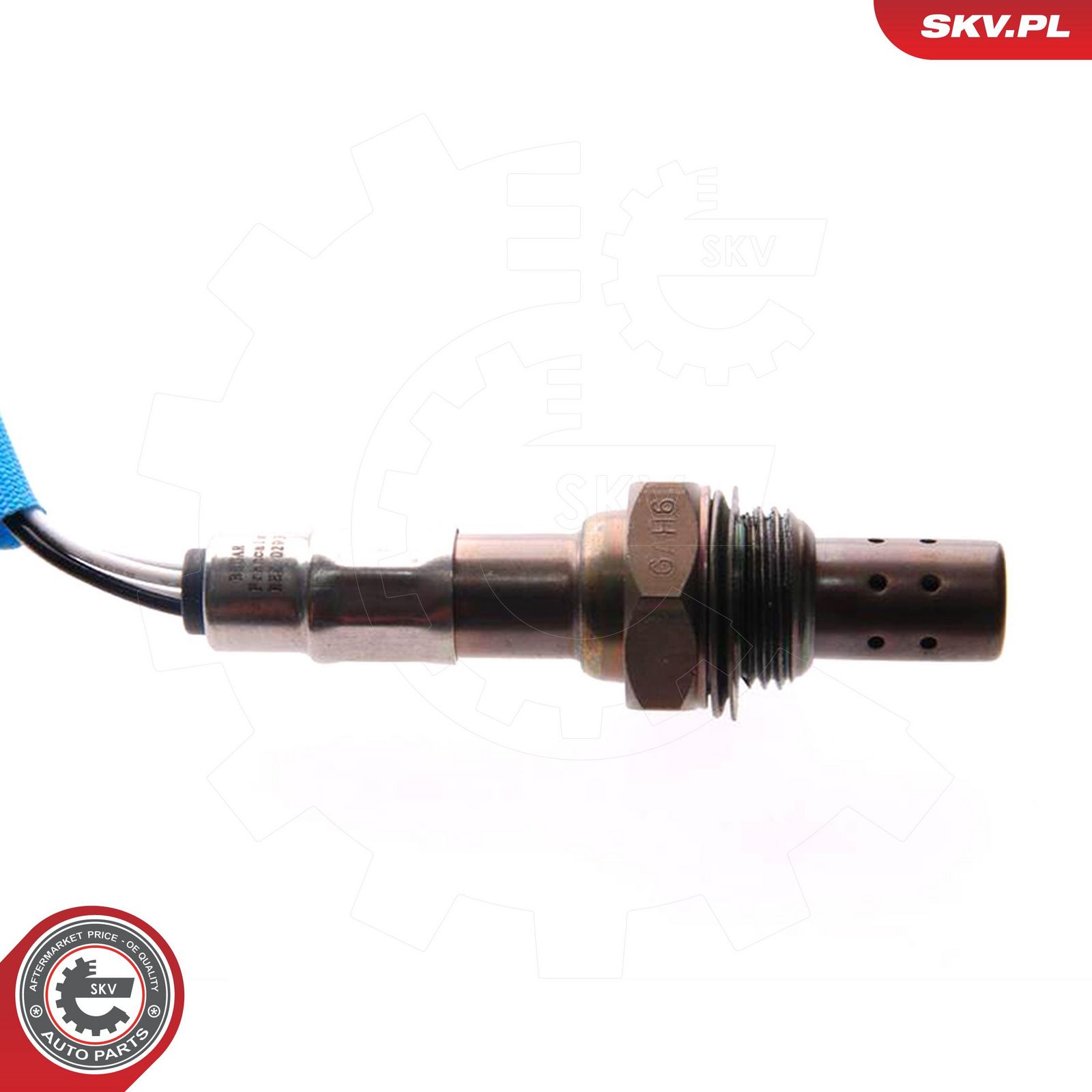 Oxygen Sensor-2