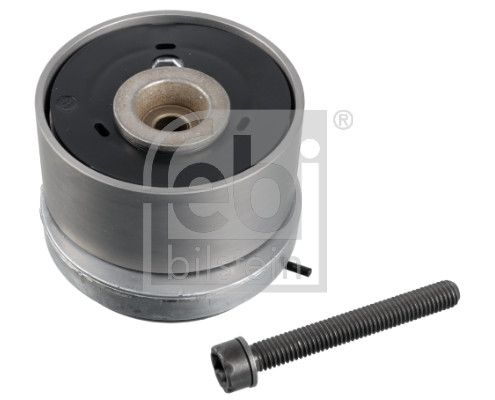 Tensioner Pulley, timing belt