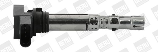 BORGWARNER (BERU) ZSE059 Ignition coil