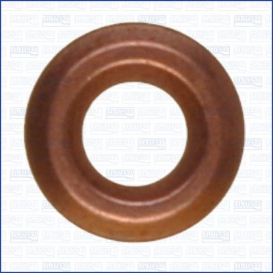 Seal Ring, nozzle holder-1