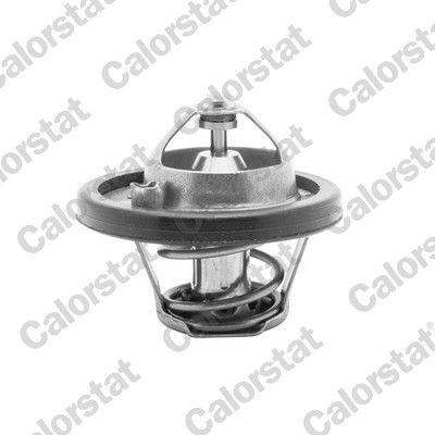 Thermostat, coolant