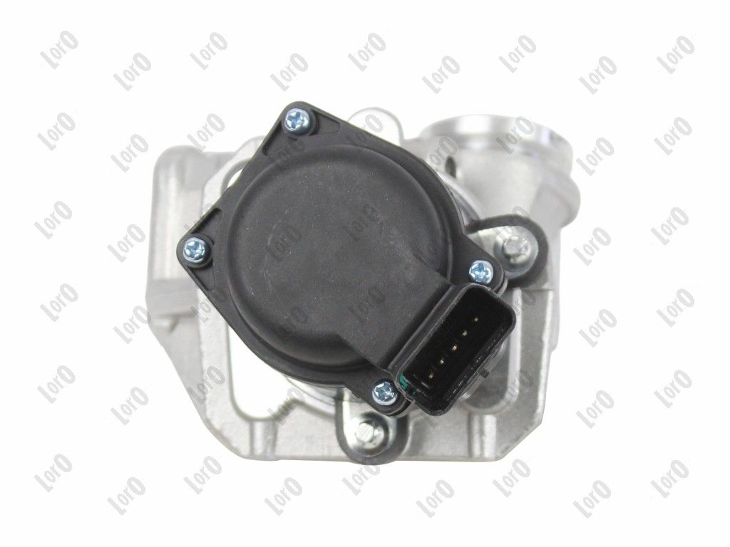EGR Valve-4