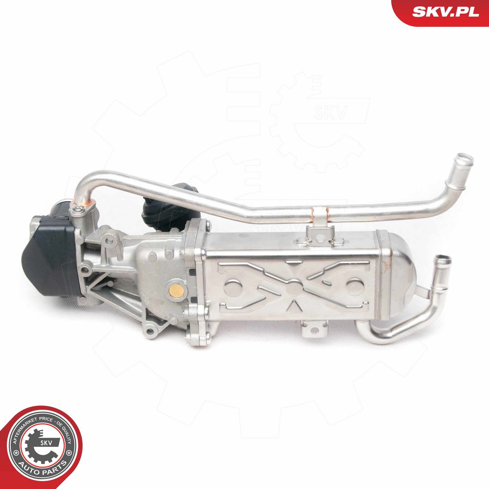 EGR Valve-1