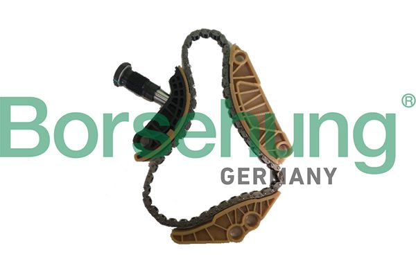 BORSEHUNG B18779 Chain kit, oil pump drive