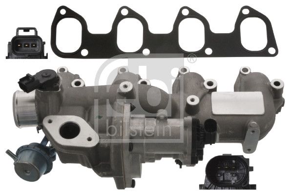 EGR Valve