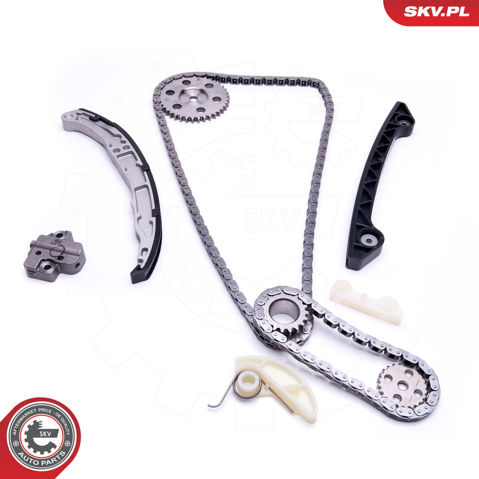 ESEN SKV 21SKV242 Timing chain kit