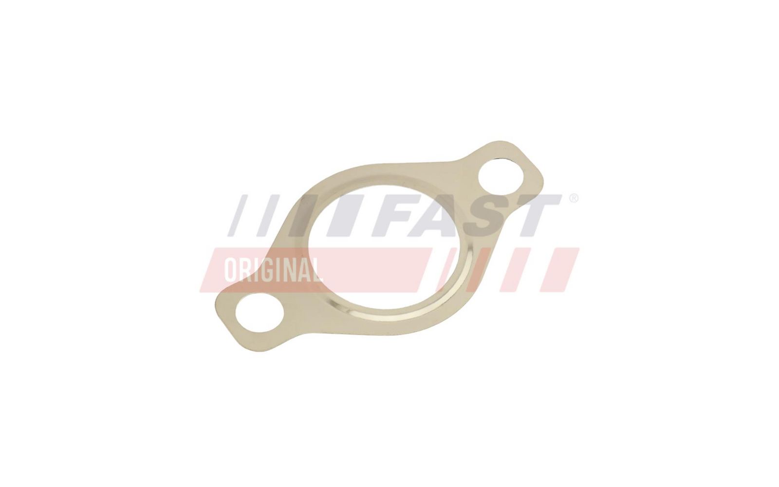 FAST FT50618 Gasket, egr valve