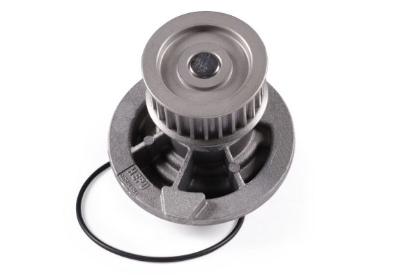HEPU P316 Water pump, engine cooling