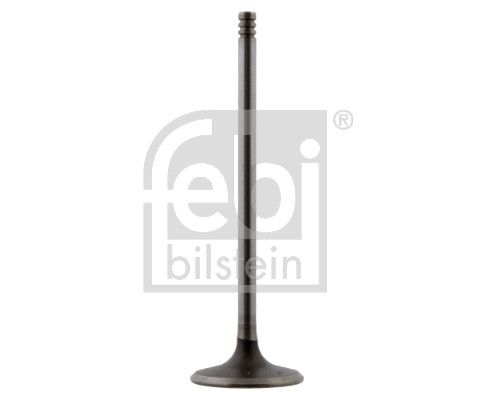 Intake Valve