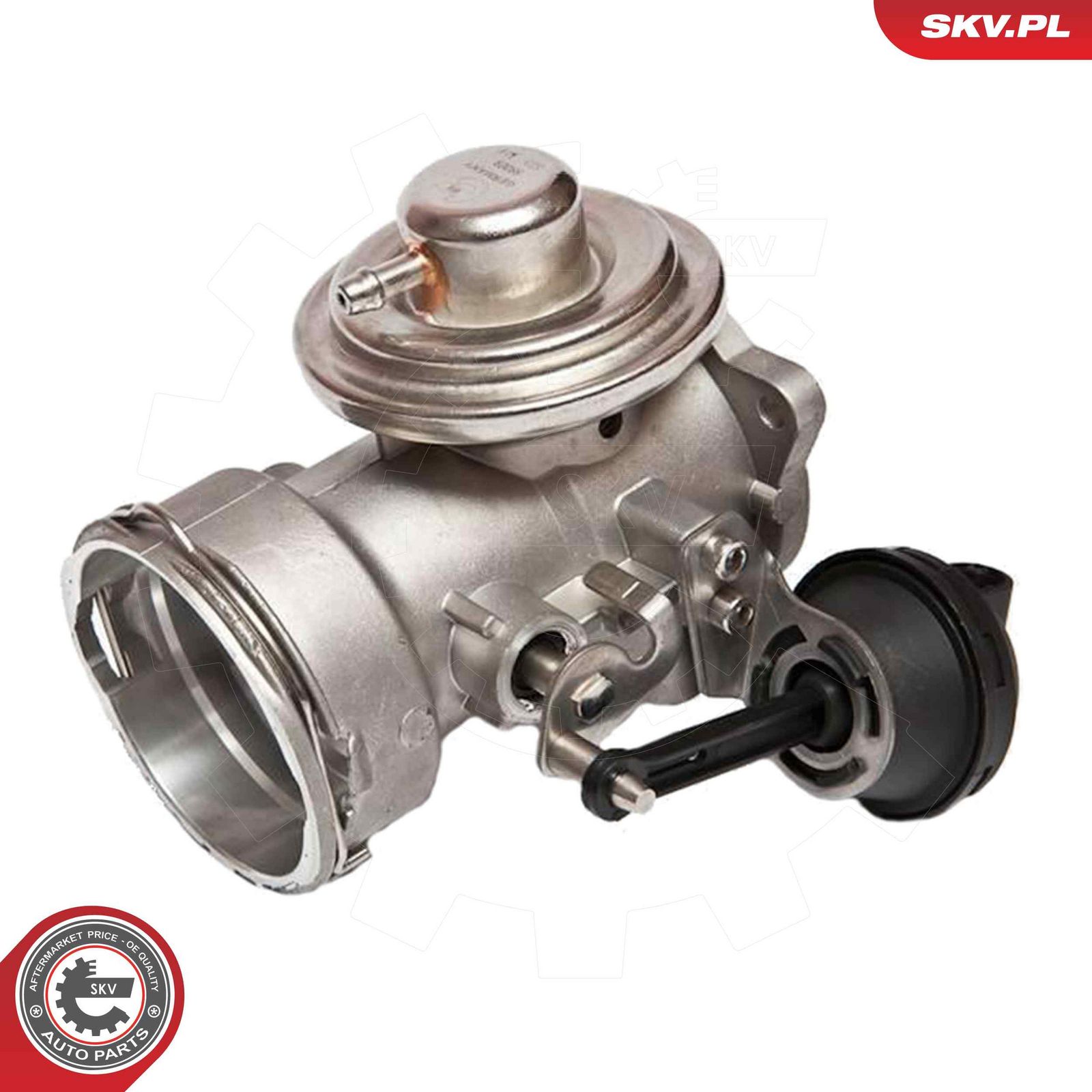 EGR Valve-1