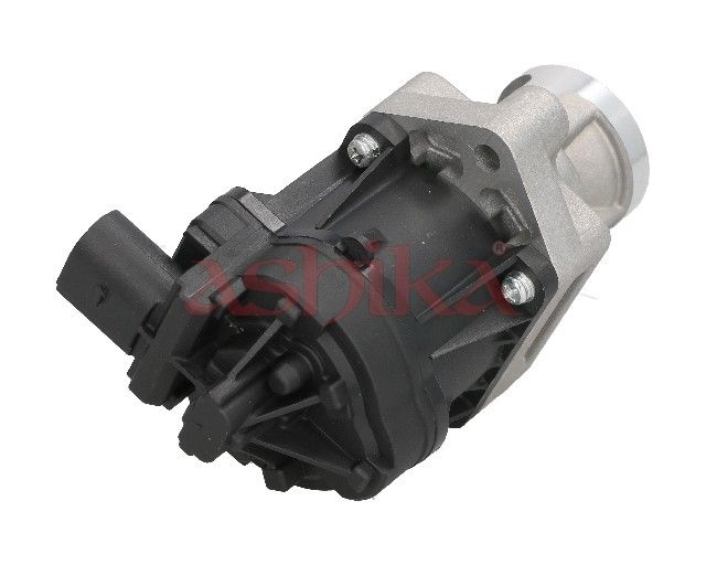 EGR Valve-2