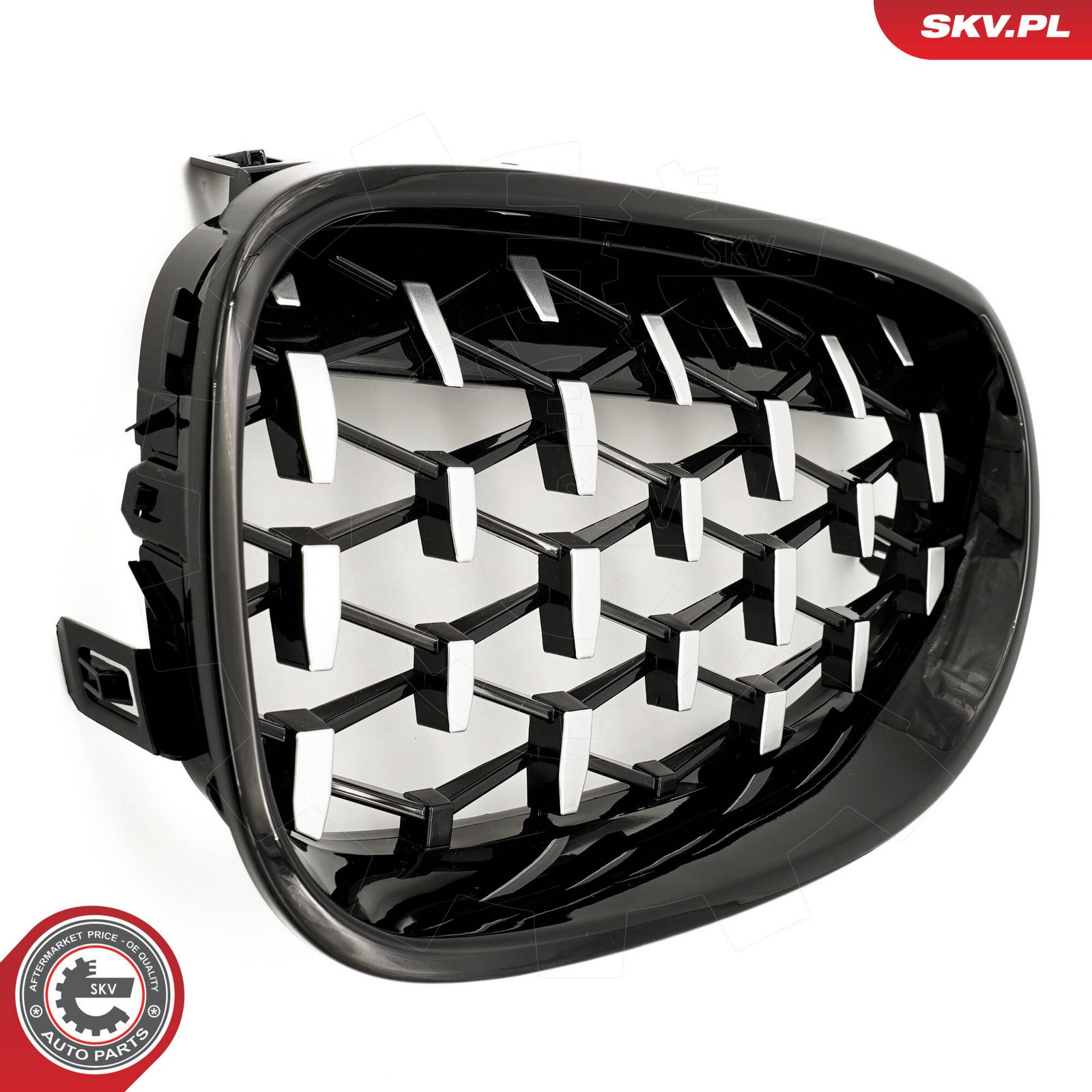 Radiator Grille-5