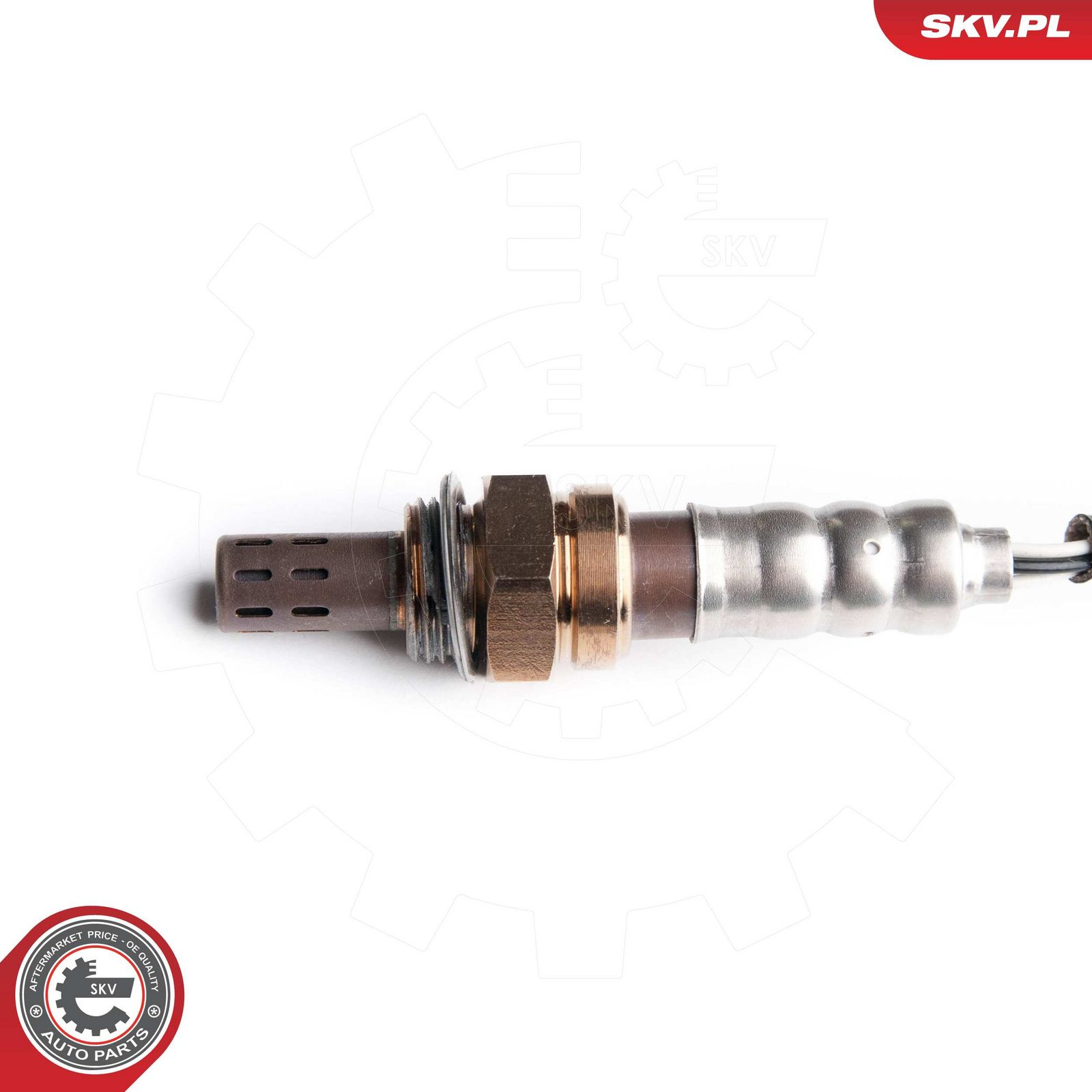 Oxygen Sensor-2