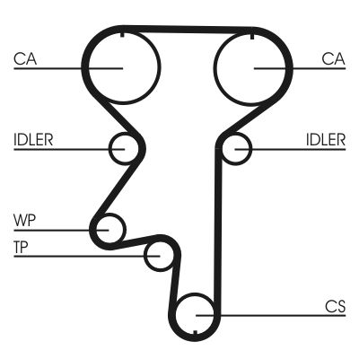 Water Pump & Timing Belt Kit-1