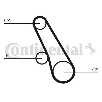 Timing Belt-1