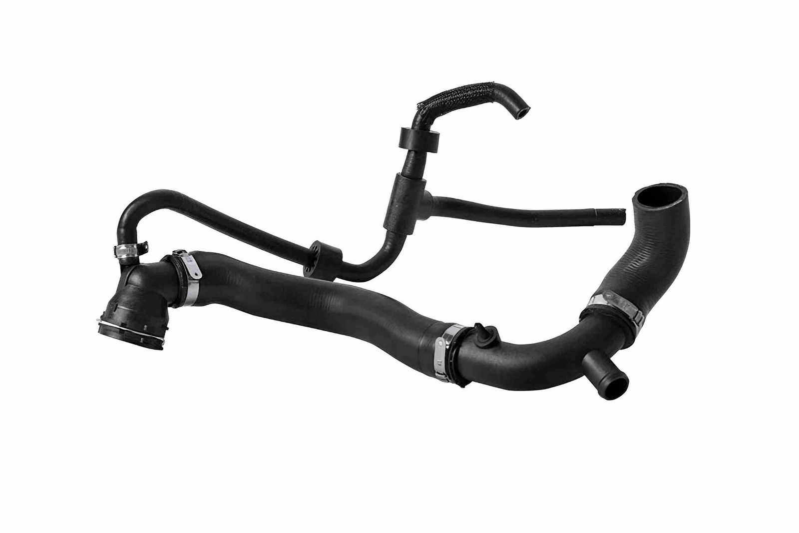 Radiator Hose-main