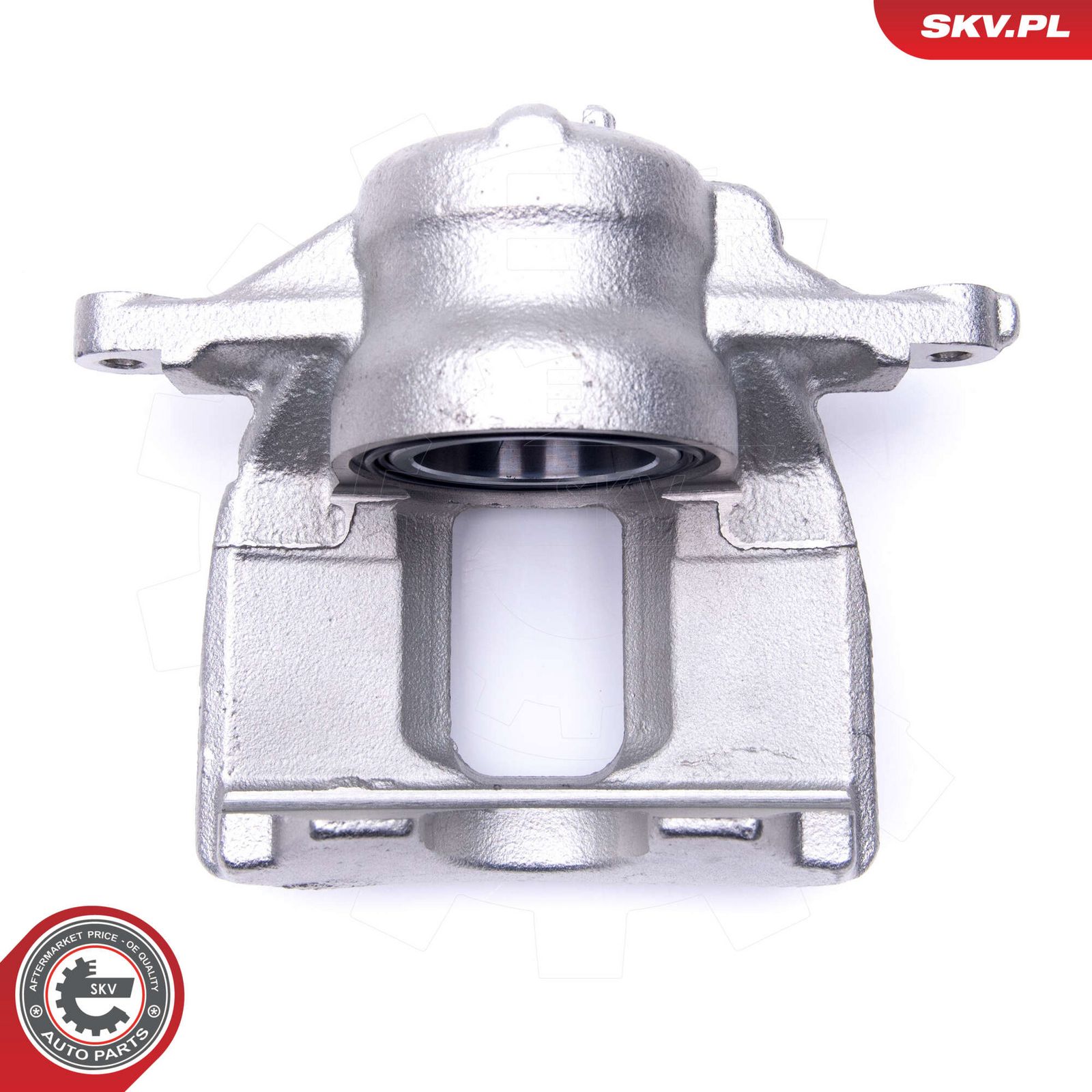 Brake Caliper-2