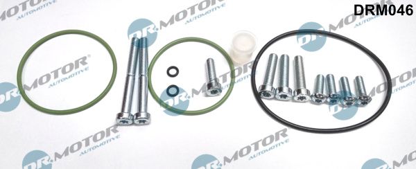 DR.MOTOR AUTOMOTIVE DRM046 Repair set, vacuum pump (braking system)