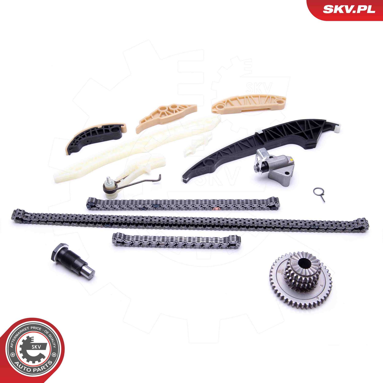 ESEN SKV 21SKV139 Timing chain kit