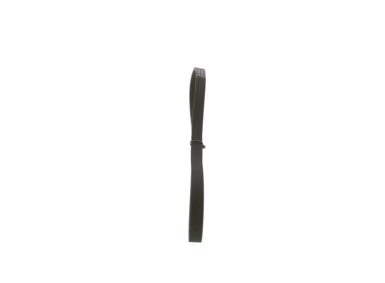 V-ribbed Belt-3