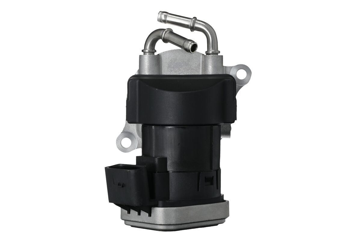 EGR Valve-1