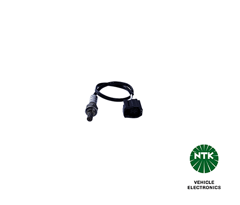 Oxygen Sensor-1