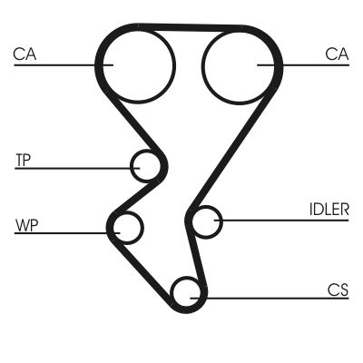 Timing Belt-2