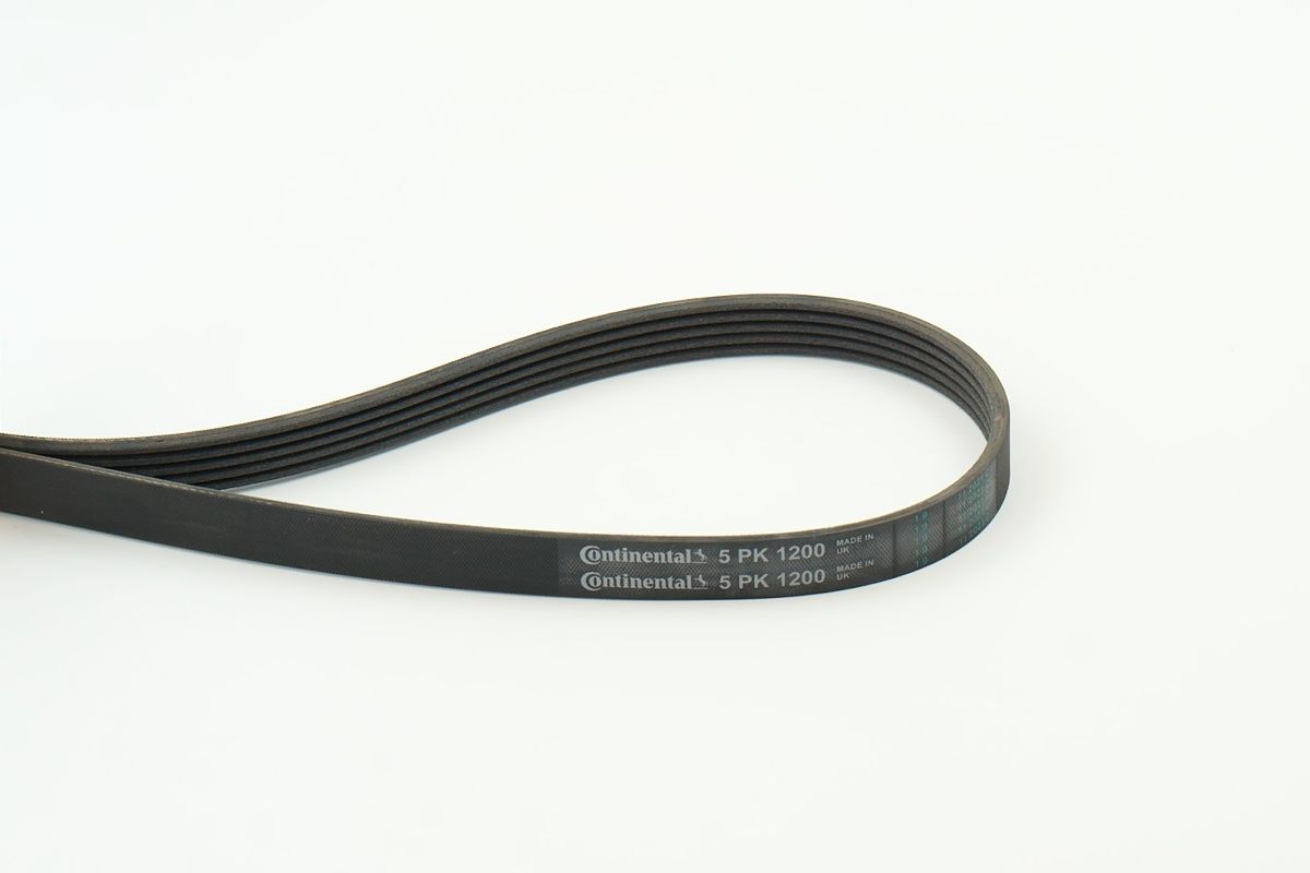 CONTINENTAL CTAM 5PK1200 V-ribbed belt