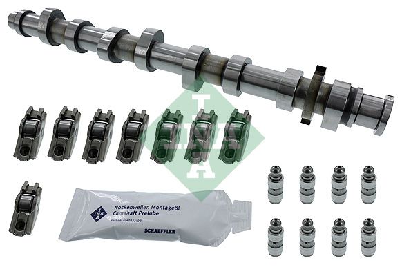 SCHAEFFLER INA 428 0050 30 Camshaft kit
