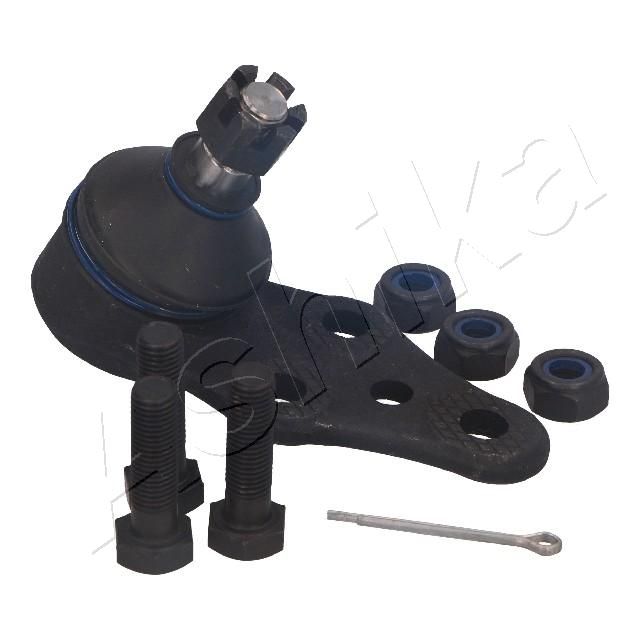 Šarnyras / girgždukas-3