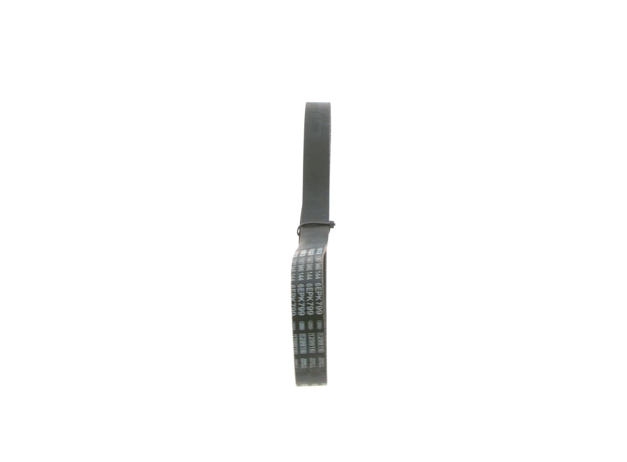 V-ribbed Belt-1