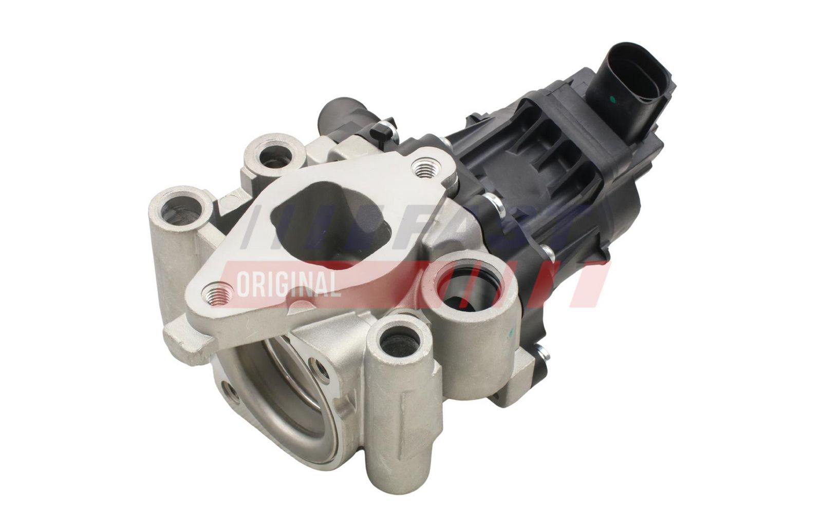 FAST FT60202 Egr valve