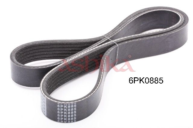 ASHIKA 112-6PK885 V-ribbed belt