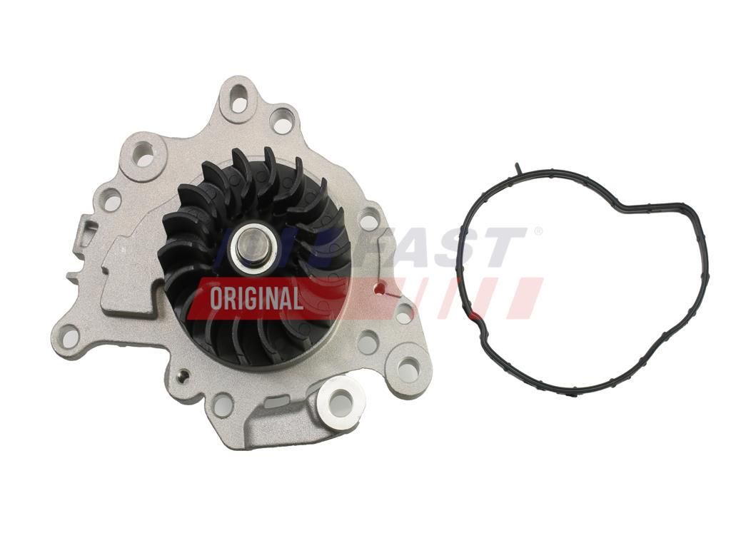 FAST FT57002 Water pump, engine cooling