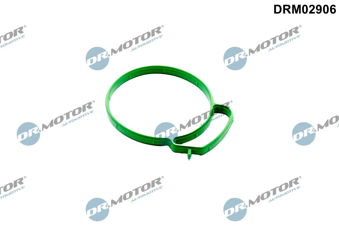 DR.MOTOR AUTOMOTIVE DRM02906 Gasket, throttle body