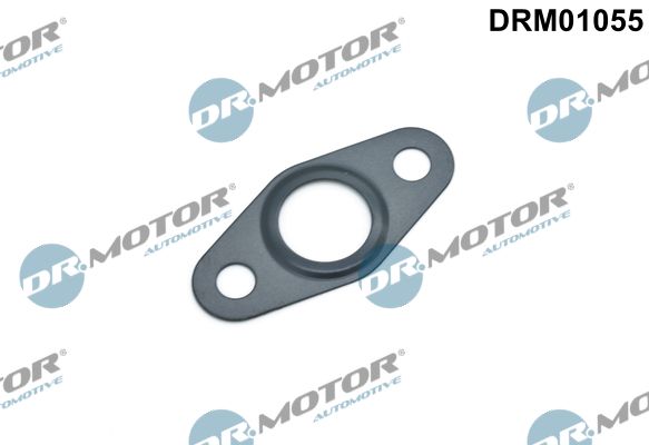 DR.MOTOR AUTOMOTIVE DRM01055 Gasket, oil outlet (charger)