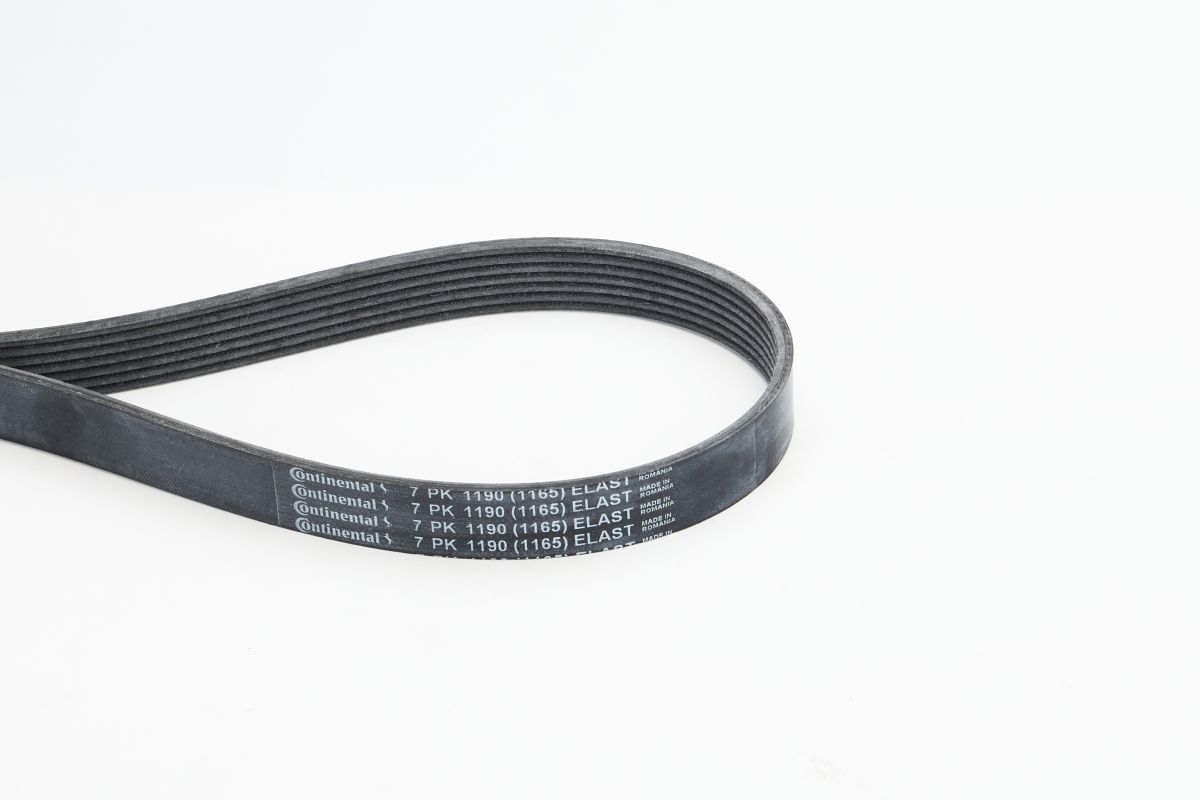 CONTINENTAL CTAM 7PK1190 ELAST V-ribbed belt