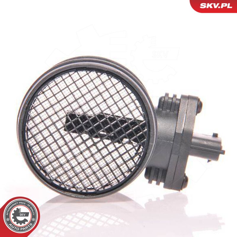 Mass Air Flow Sensor-1