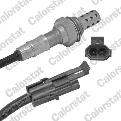 CALORSTAT BY VERNET LS120200 Oxygen sensor