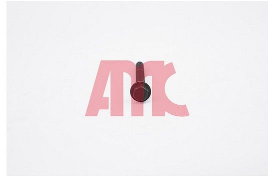 AMC 258016 Cylinder head bolt set