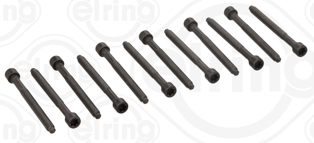 ELRING 005.610 Cylinder head bolt set