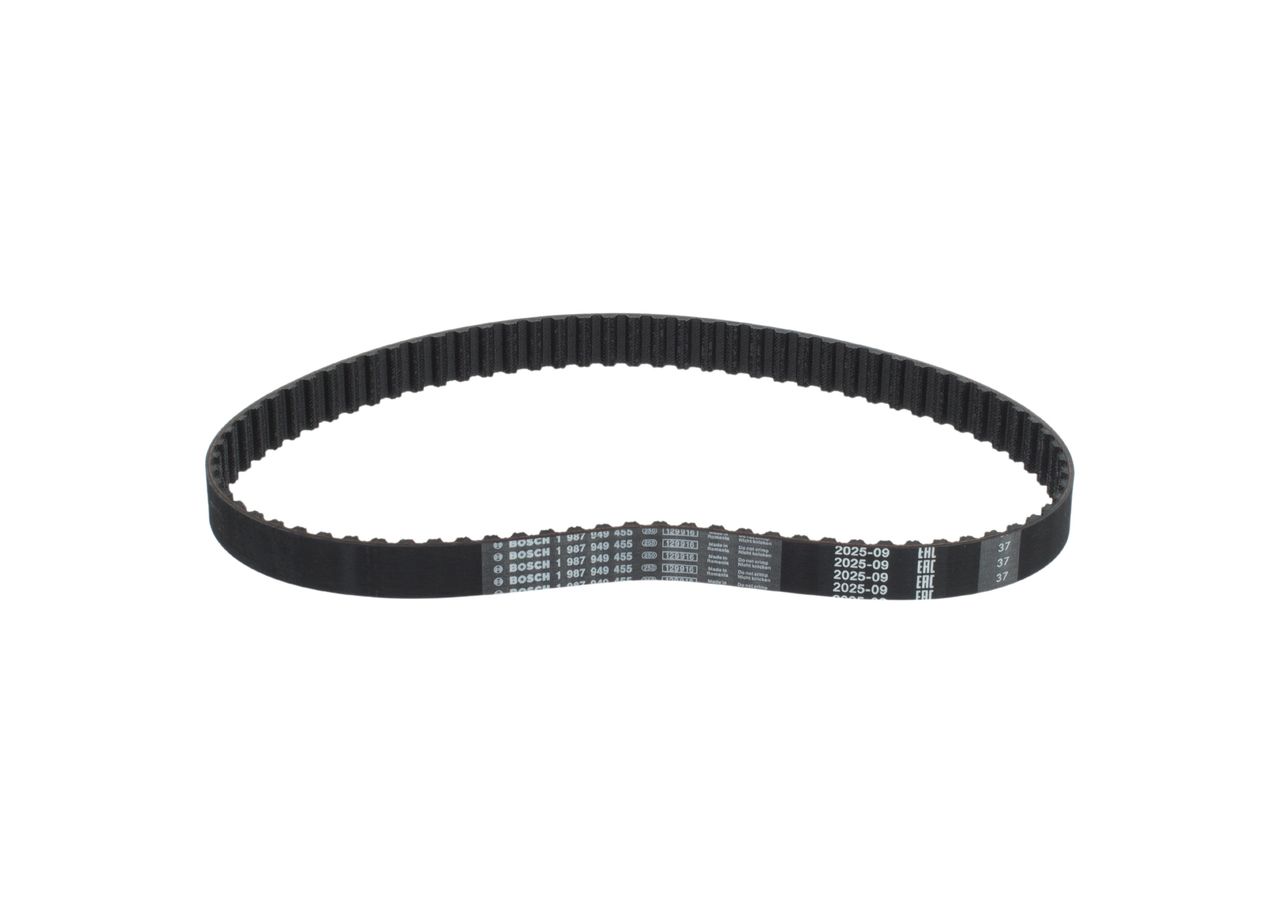 Timing Belt-2