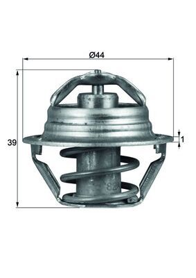 Thermostat, coolant