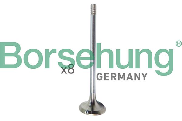 BORSEHUNG B10322 Intake valve