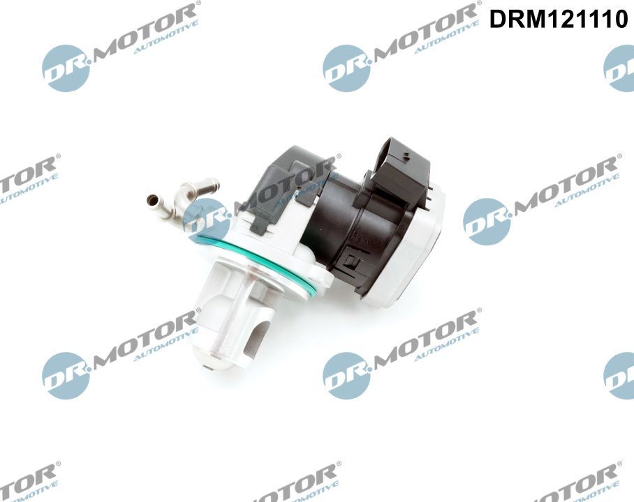 EGR Valve