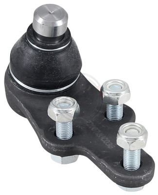 Šarnyras / girgždukas