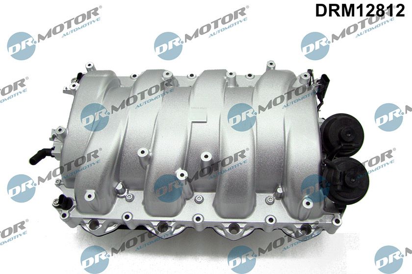 Intake Manifold Module