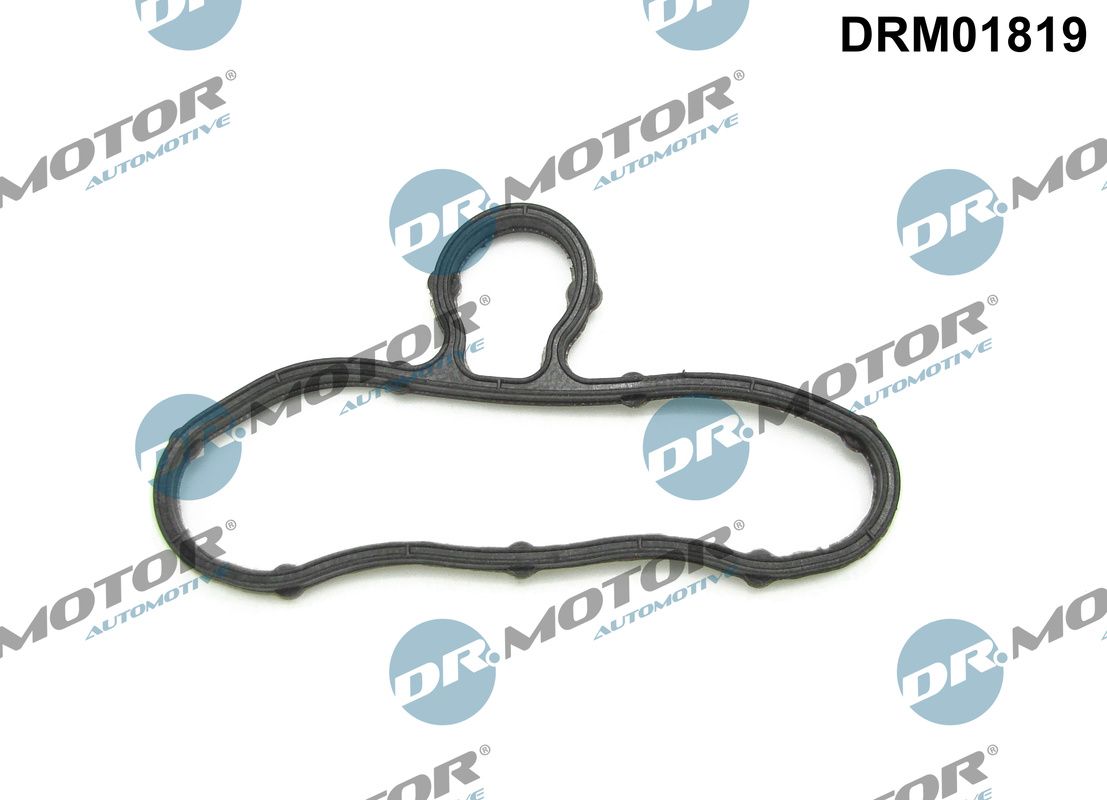 Gasket, timing cover