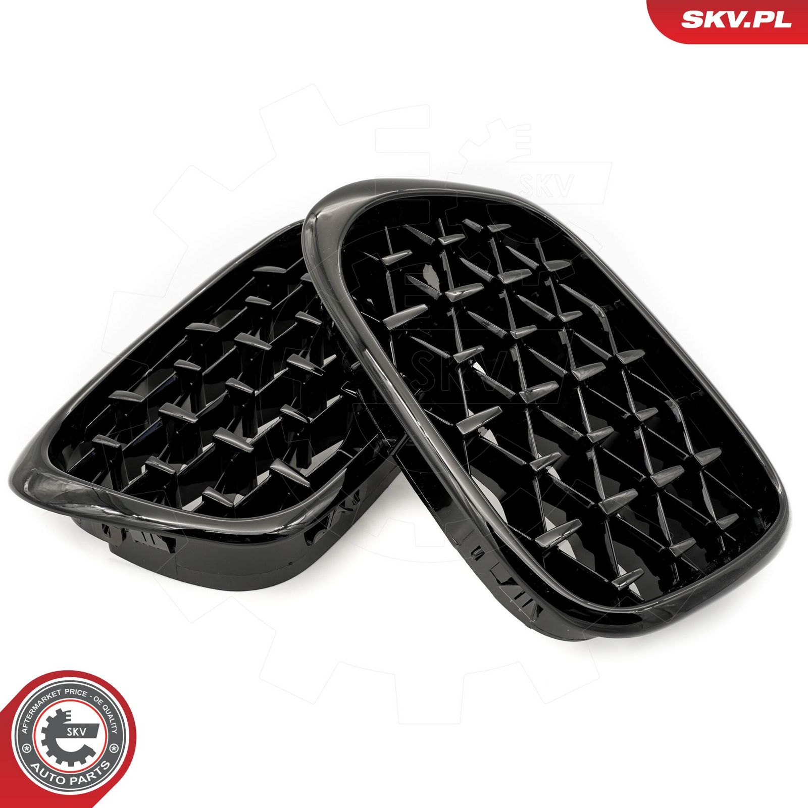 Radiator Grille-1
