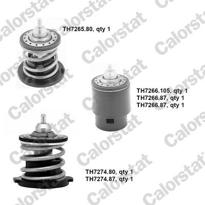 CALORSTAT BY VERNET WP0001 Thermostat, coolant